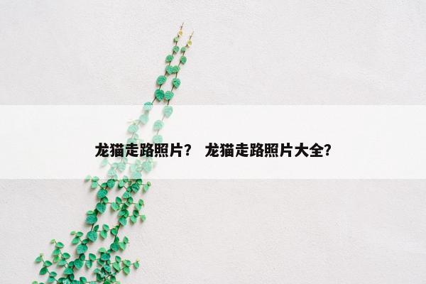 龙猫走路照片？ 龙猫走路照片大全？