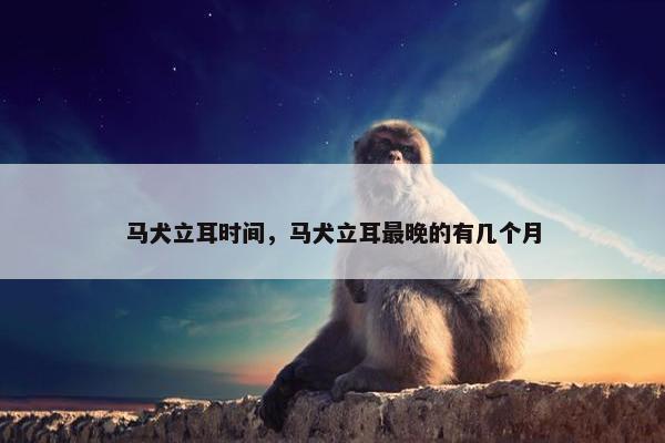 马犬立耳时间，马犬立耳最晚的有几个月