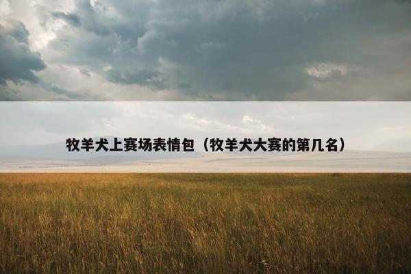 牧羊犬上赛场表情包（牧羊犬大赛的第几名）