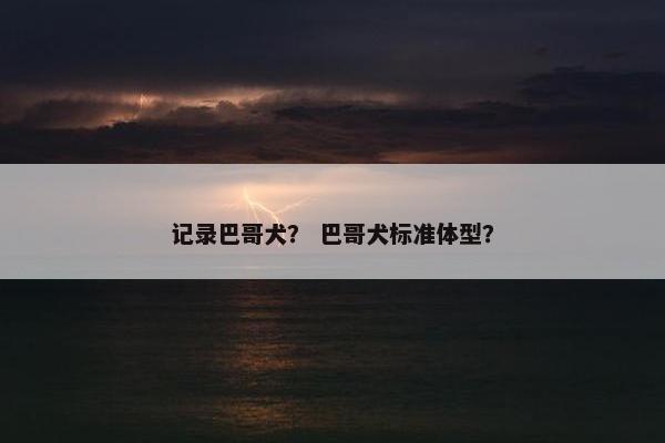 记录巴哥犬？ 巴哥犬标准体型？