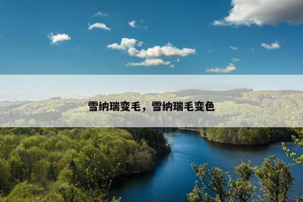 雪纳瑞变毛，雪纳瑞毛变色