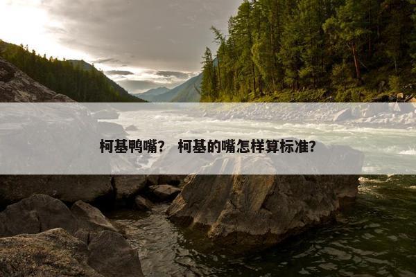 柯基鸭嘴？ 柯基的嘴怎样算标准？