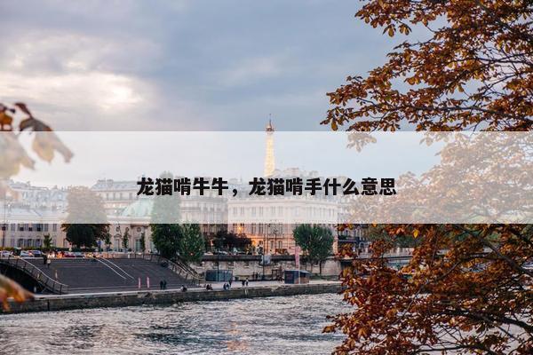 龙猫啃牛牛，龙猫啃手什么意思