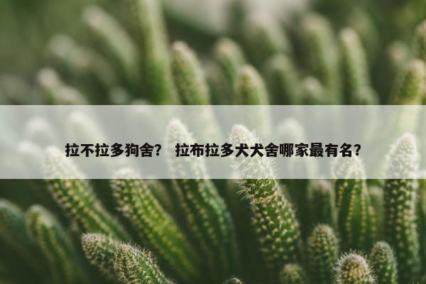 拉不拉多狗舍？ 拉布拉多犬犬舍哪家最有名？