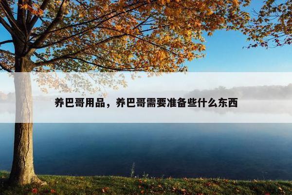 养巴哥用品，养巴哥需要准备些什么东西