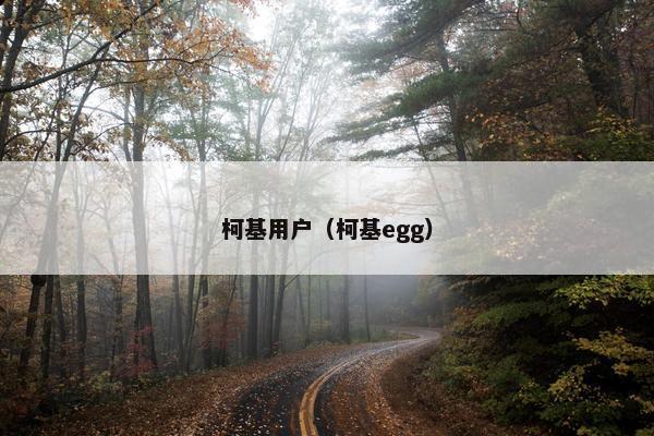 柯基用户（柯基egg）