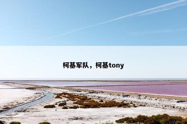 柯基军队，柯基tony