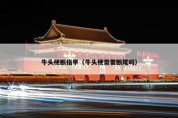 牛头梗断指甲（牛头梗需要断尾吗）