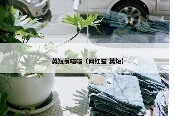 英短萌喵喵（网红猫 英短）