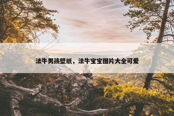 法牛男孩壁纸，法牛宝宝图片大全可爱