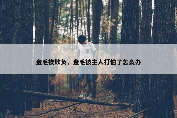 金毛挨欺负，金毛被主人打怕了怎么办