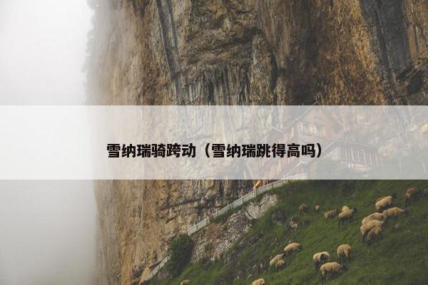 雪纳瑞骑跨动（雪纳瑞跳得高吗）