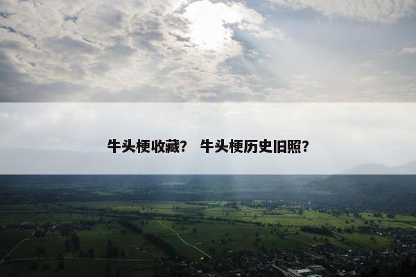 牛头梗收藏？ 牛头梗历史旧照？