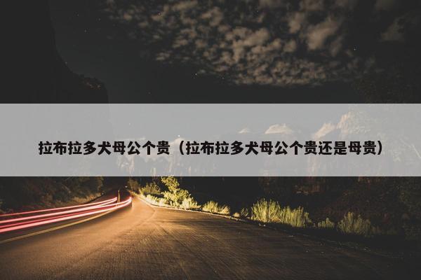 拉布拉多犬母公个贵（拉布拉多犬母公个贵还是母贵）