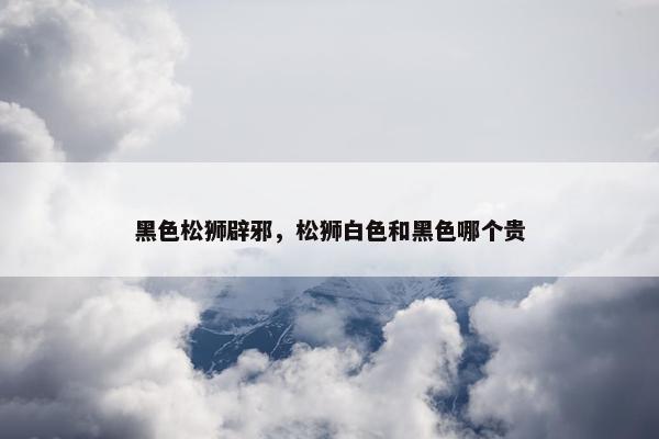 黑色松狮辟邪，松狮白色和黑色哪个贵