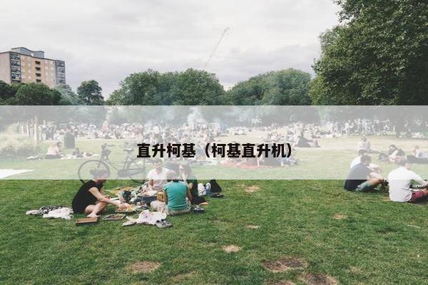 直升柯基（柯基直升机）