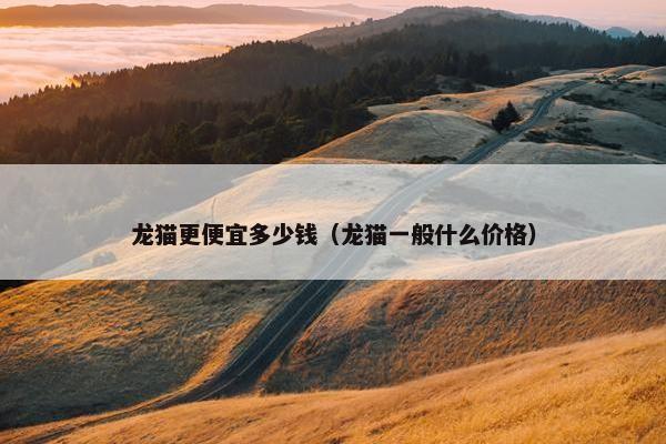 龙猫更便宜多少钱（龙猫一般什么价格）