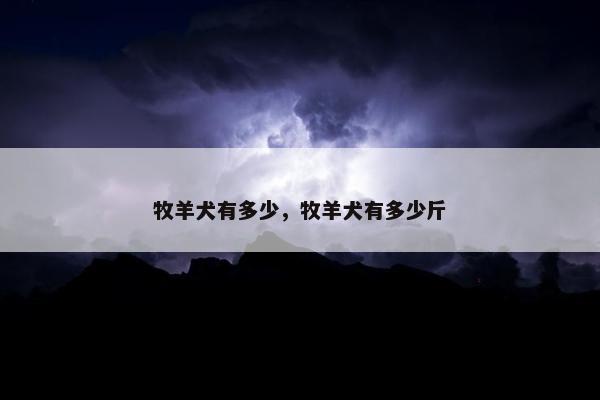 牧羊犬有多少，牧羊犬有多少斤