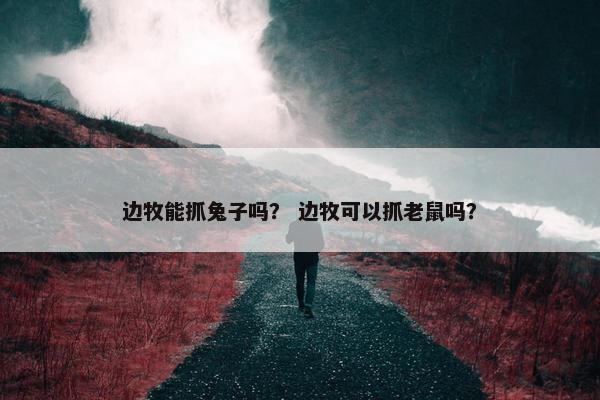 边牧能抓兔子吗？ 边牧可以抓老鼠吗？