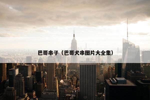 巴哥串子（巴哥犬串图片大全集）