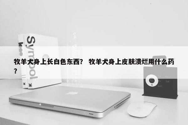 牧羊犬身上长白色东西？ 牧羊犬身上皮肤溃烂用什么药？