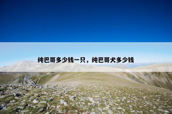 纯巴哥多少钱一只，纯巴哥犬多少钱