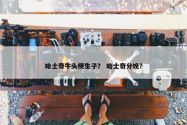 哈士奇牛头梗生子？ 哈士奇分娩？