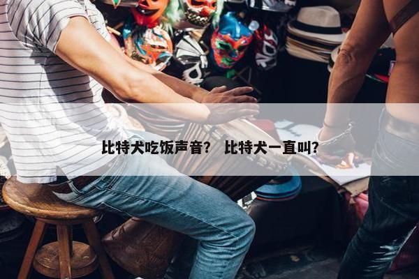比特犬吃饭声音？ 比特犬一直叫？
