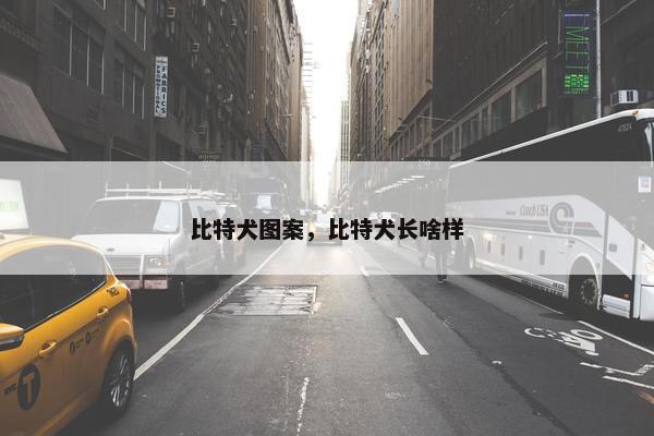 比特犬图案，比特犬长啥样