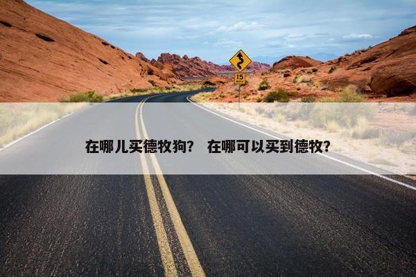 在哪儿买德牧狗？ 在哪可以买到德牧？