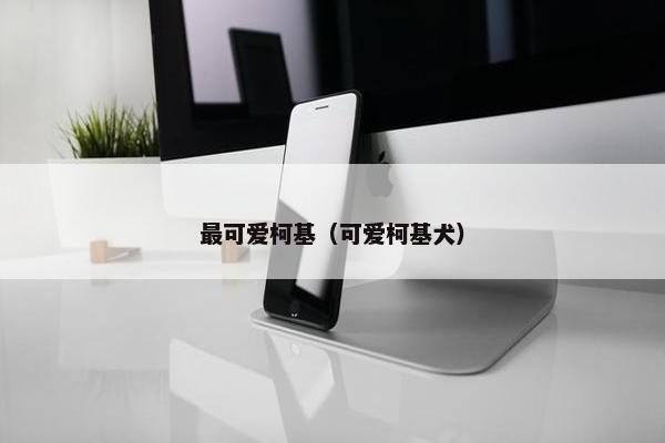 最可爱柯基（可爱柯基犬）