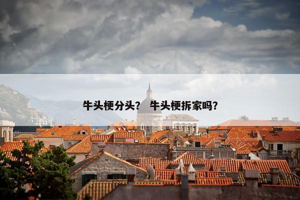 牛头梗分头？ 牛头梗拆家吗？
