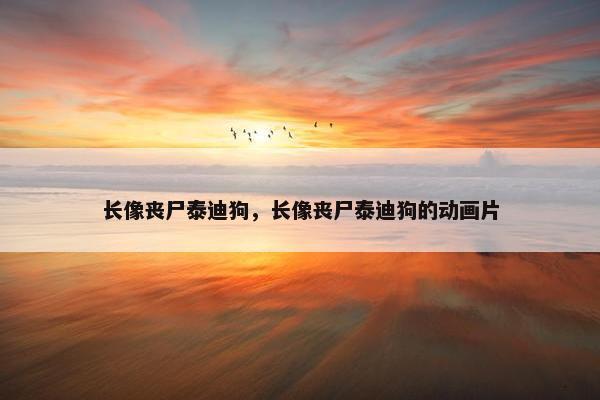 长像丧尸泰迪狗，长像丧尸泰迪狗的动画片