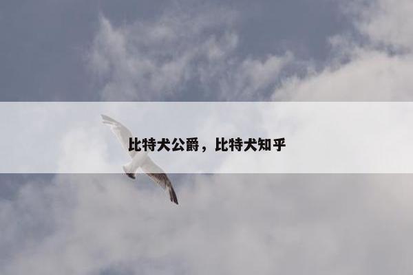比特犬公爵，比特犬知乎