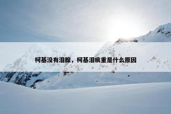 柯基没有泪腺，柯基泪痕重是什么原因