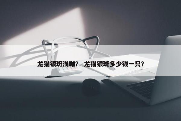 龙猫银斑浅咖？ 龙猫银斑多少钱一只？