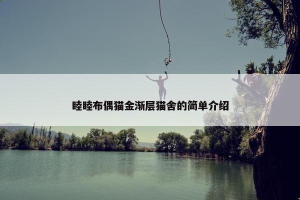 睦睦布偶猫金渐层猫舍的简单介绍