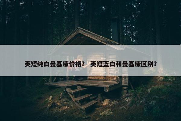 英短纯白曼基康价格？ 英短蓝白和曼基康区别？