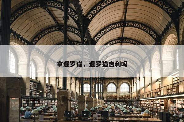 拿暹罗猫，暹罗猫吉利吗