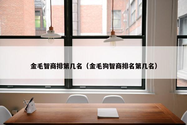 金毛智商排第几名（金毛狗智商排名第几名）