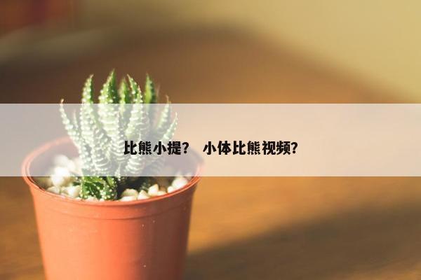 比熊小提？ 小体比熊视频？
