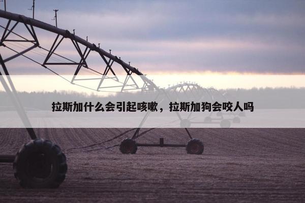 拉斯加什么会引起咳嗽，拉斯加狗会咬人吗