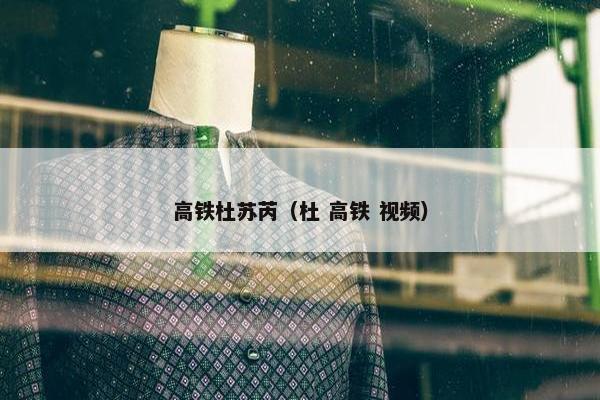 高铁杜苏芮（杜 高铁 视频）