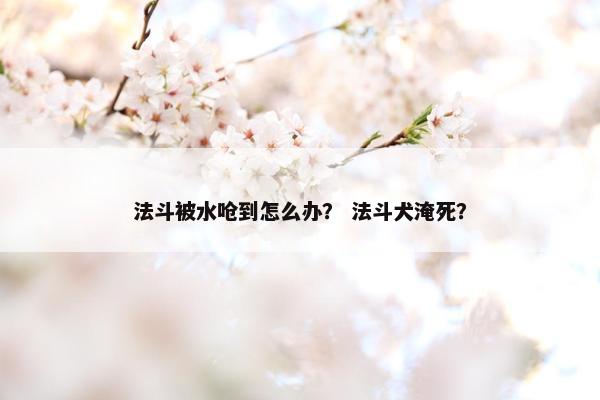 法斗被水呛到怎么办？ 法斗犬淹死？