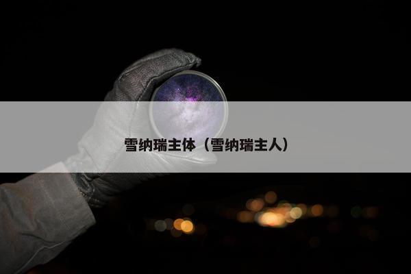 雪纳瑞主体（雪纳瑞主人）