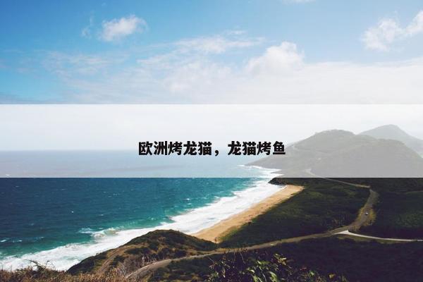 欧洲烤龙猫，龙猫烤鱼