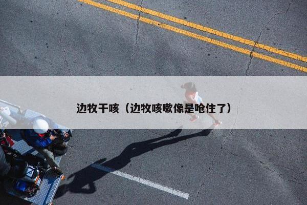 边牧干咳（边牧咳嗽像是呛住了）
