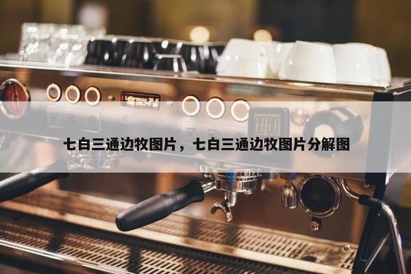 七白三通边牧图片，七白三通边牧图片分解图