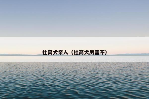 杜高犬亲人（杜高犬厉害不）