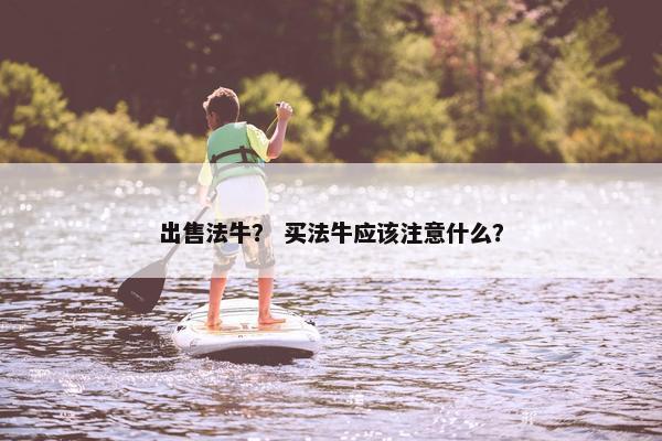 出售法牛？ 买法牛应该注意什么？